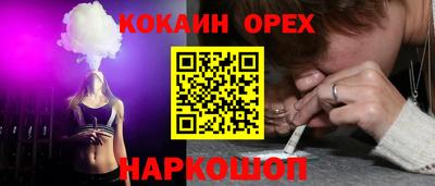 стаф Будённовск