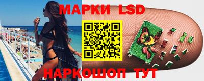 стаф Будённовск