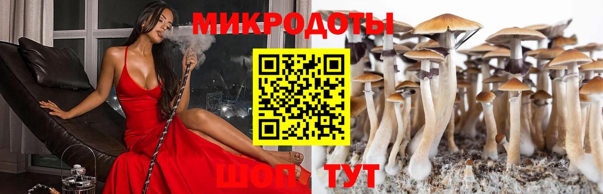 где можно купить   Вход с VPN  Псилоцибиновые грибы GOLDEN TEACHER  Ярославль  Галлюциногенные грибы Psilocybe 